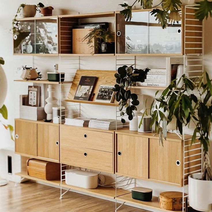 the shelves are filled with plants and books