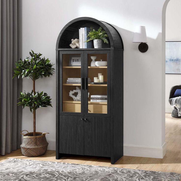 a tall black cabinet with glass doors in a living room next to a potted plant