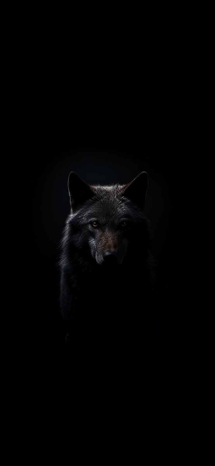 an animal that is in the dark with it's head turned to the side