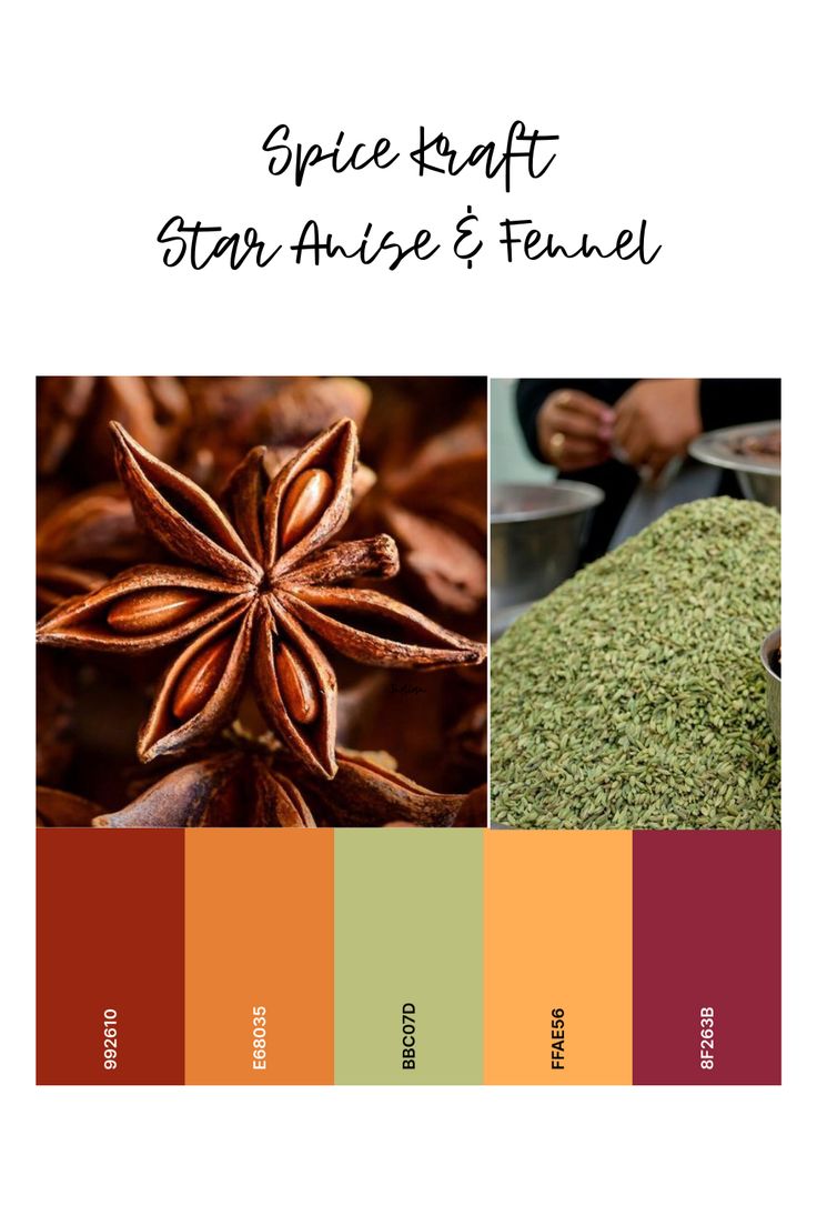 spice craft star anise and fennel color palette with the words spice craft on it