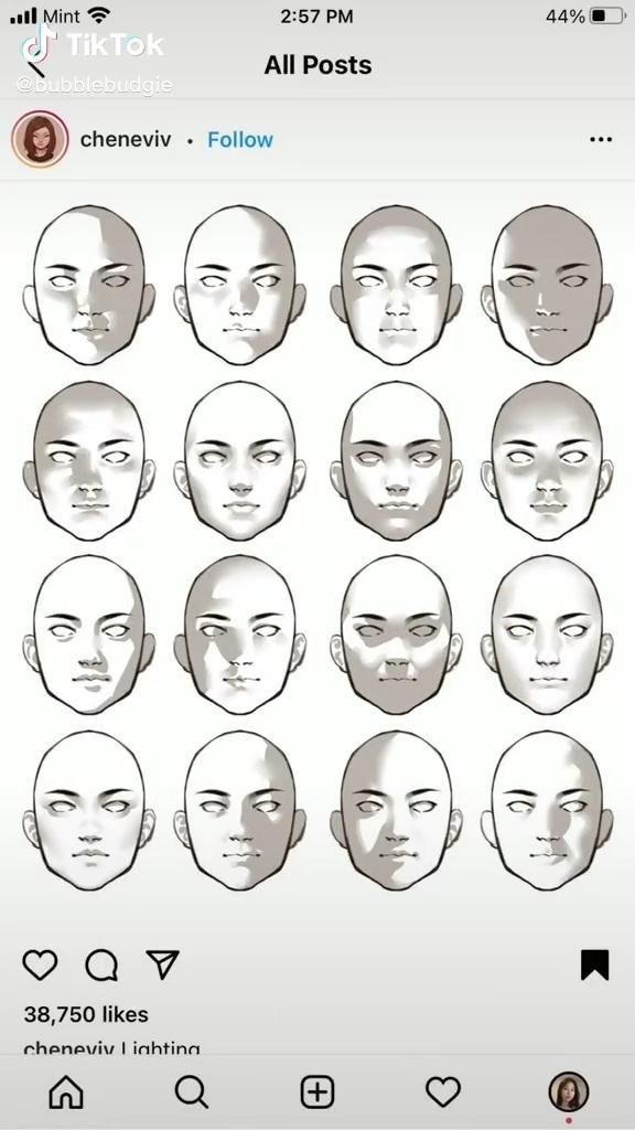 an iphone screen showing the face and head shapes