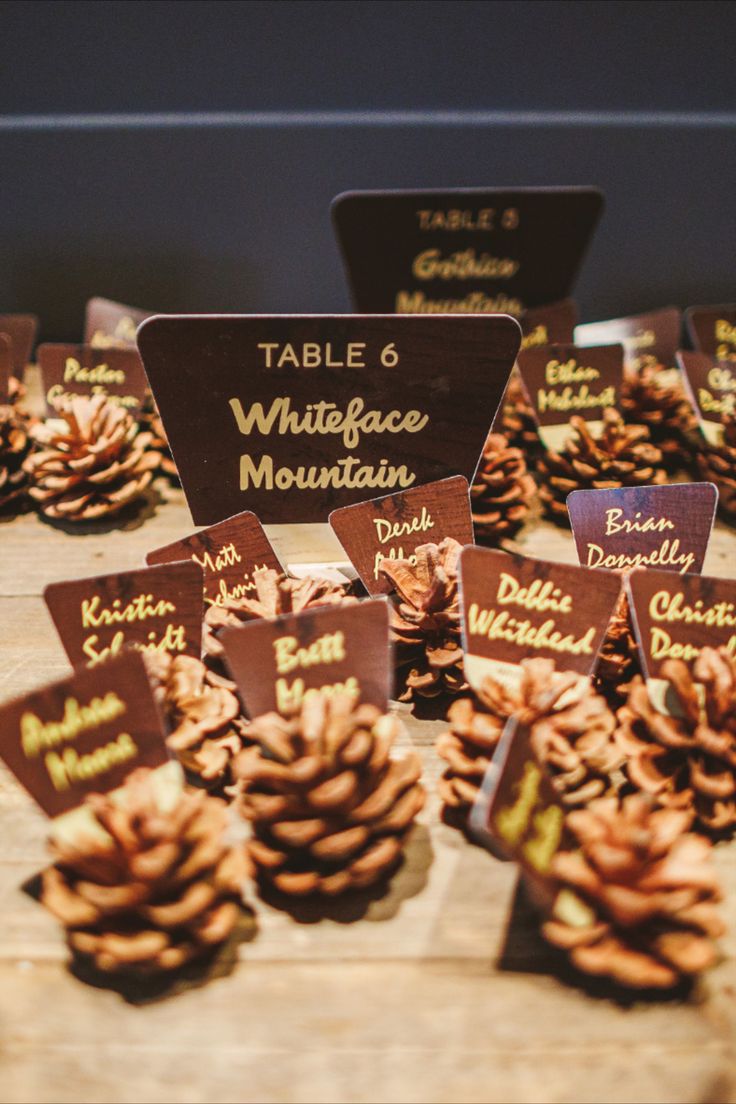 there are many pine cones on the table with place cards for each individual to use