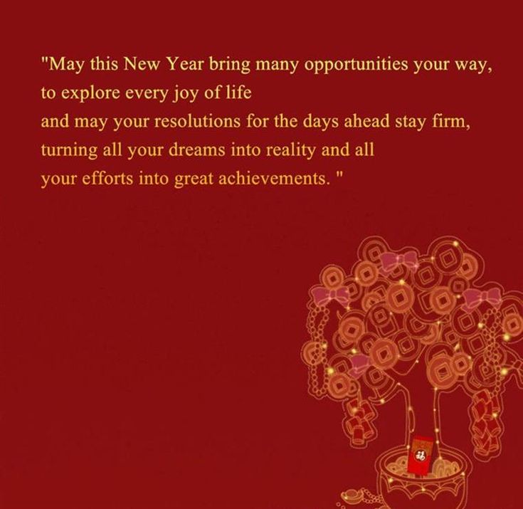 a red background with an image of a vase filled with flowers and text that reads, may this new year bring many beginnings in your way to explore