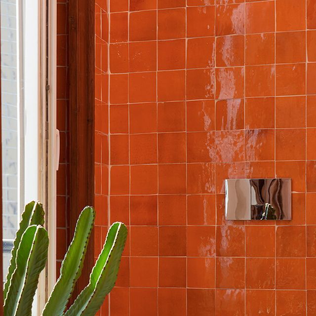 an orange tiled bathroom with a cactus in the corner