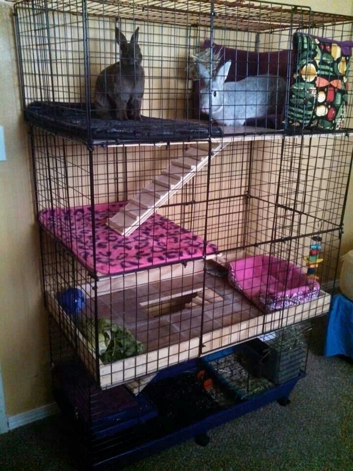 two rabbits sit in their cages on the floor next to each other and one rabbit is sitting inside