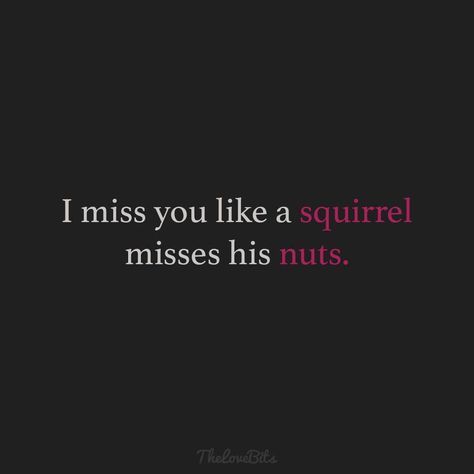 the words i miss you like a squirrel misses his nuts on a black and pink background