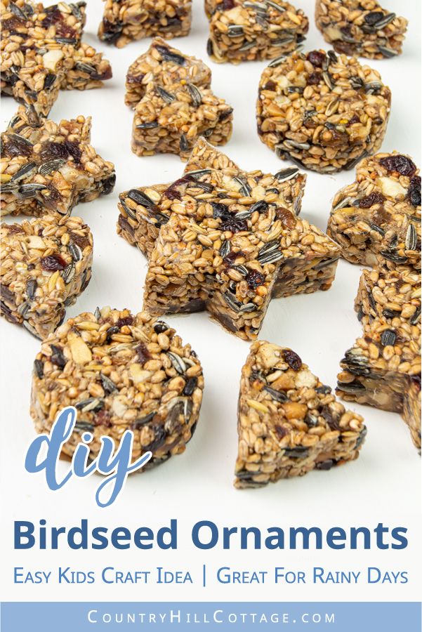 homemade bird seed granola treats with text overlay