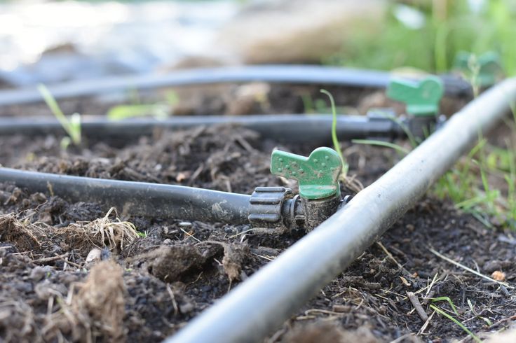 several hoses connected to each other in the ground with plants growing out of them