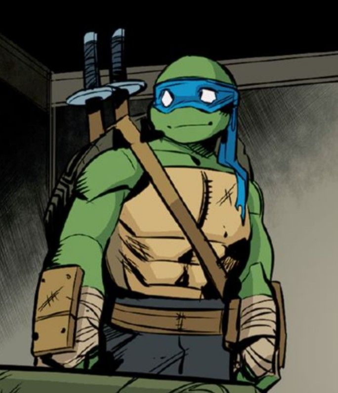 the teenage mutant is holding two swords in his hand