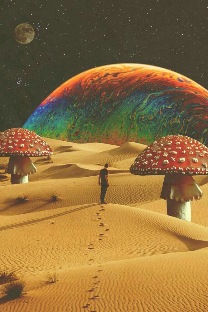 a man standing in the middle of a desert with mushroom like structures on top of it