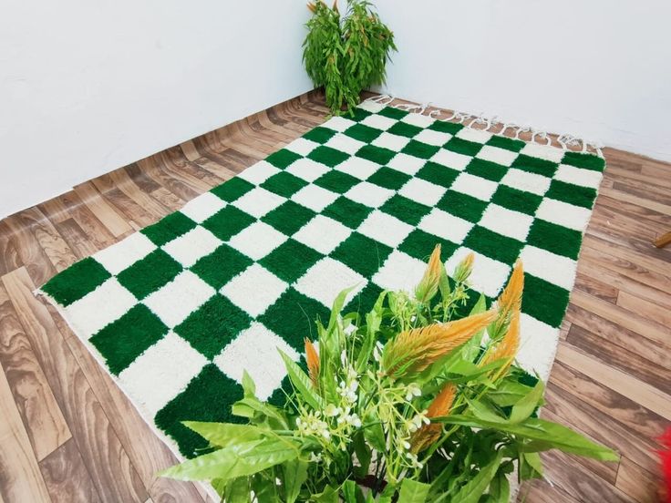 a potted plant sitting on top of a wooden floor next to a green and white checkered rug