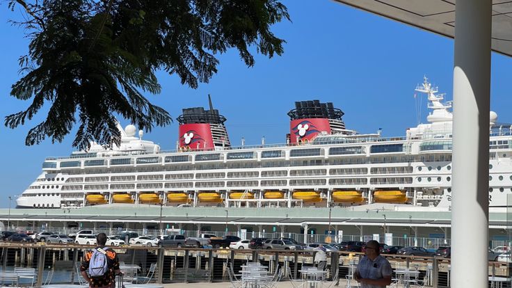 Disney World, Disney Cruise, Disneyland Secrets EverythingMouse