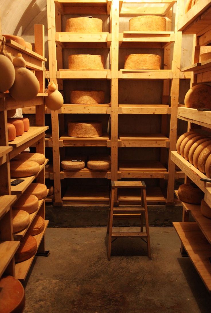 a room filled with lots of shelves covered in cheese