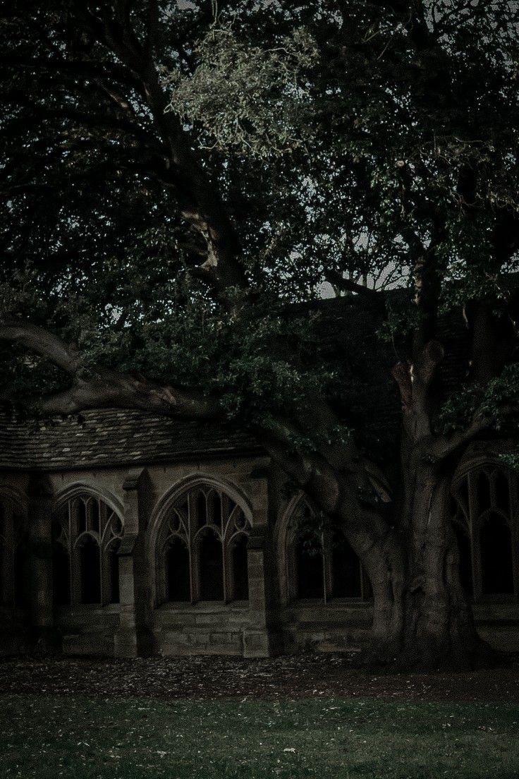 an old tree in front of a stone building with arches and arched windows at night