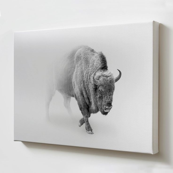 a black and white photo of a bison in the snow on a canvas mounted to a wall