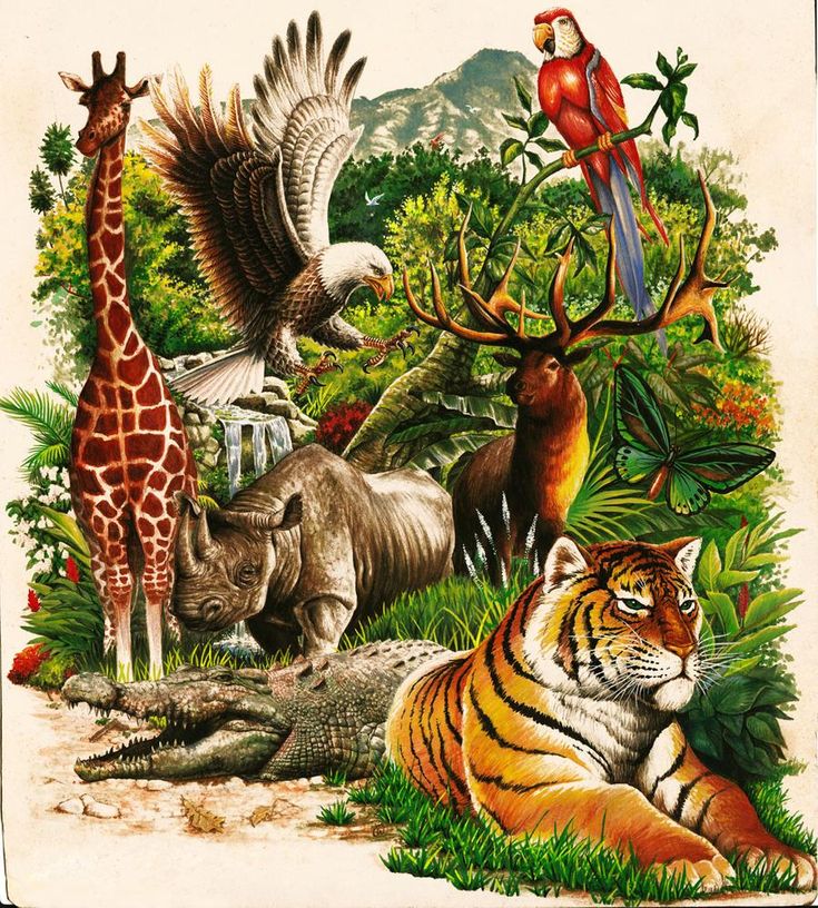 an image of animals that are in the wild with trees and bushes around them, including giraffes