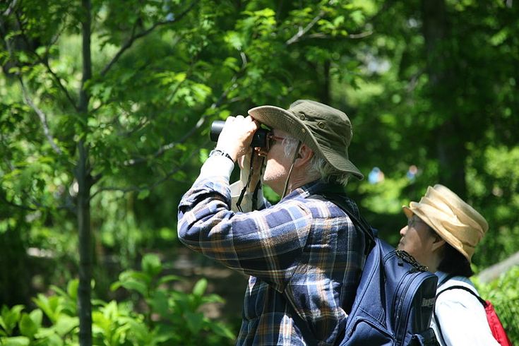 two people with backpacks and hats are looking at something in the distance through binoculars