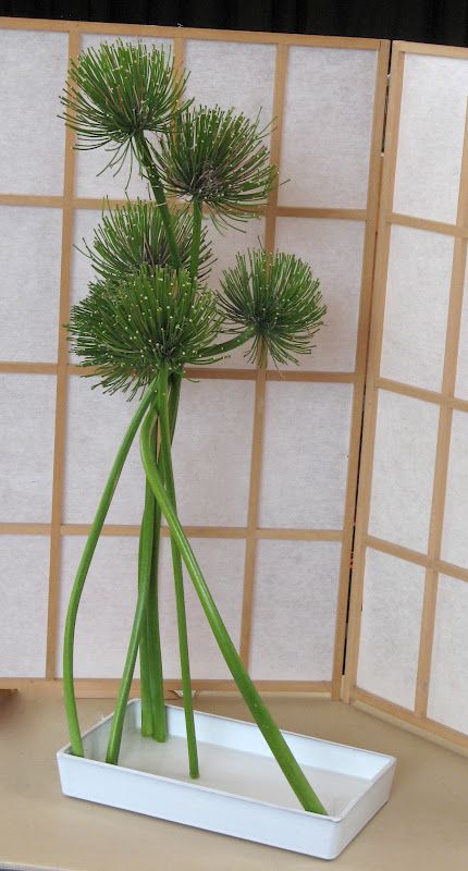 a vase filled with green plants on top of a table