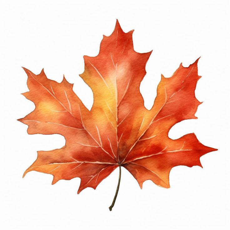 an orange and yellow leaf on a white background with watercolor paint effect in the middle