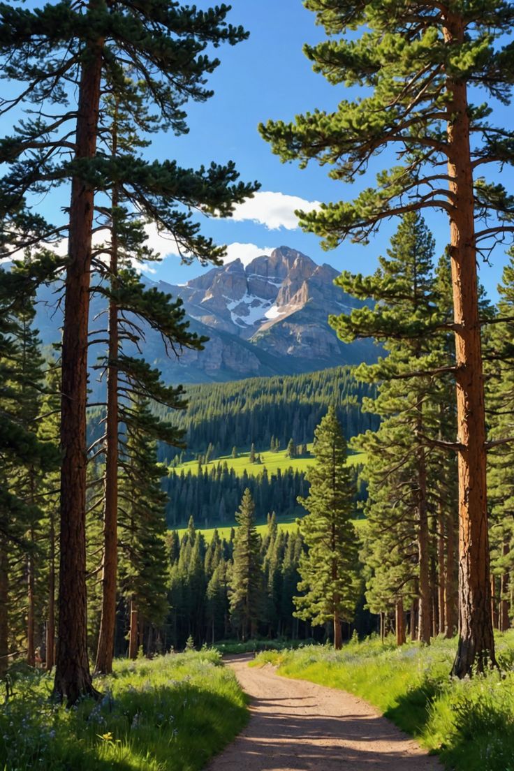 🌲 Explore Evanston, Wyoming: Discover Nature, Culture, and Entertainment 🌟 Nature Scenery, Usa Nature, Aesthetic View, Evanston Wyoming, Beautiful Landscape Paintings, Pretty Landscapes, Fantasy Places, Amazing Nature, Wyoming