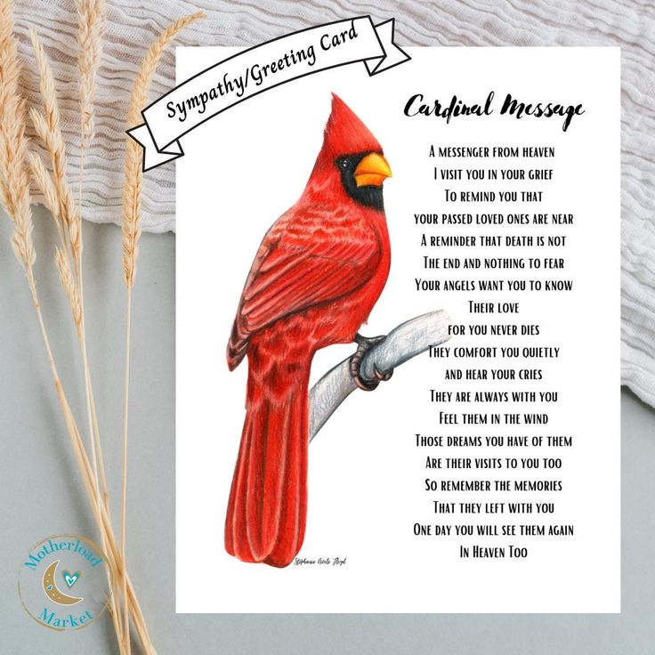 a red cardinal bird sitting on top of a piece of paper