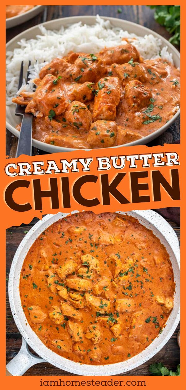 creamy butter chicken in a white bowl with rice and garnish on the side