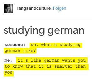 the text on the screen says studying german so, what is studying german like? it's like german wants you to know that it is smarter than you