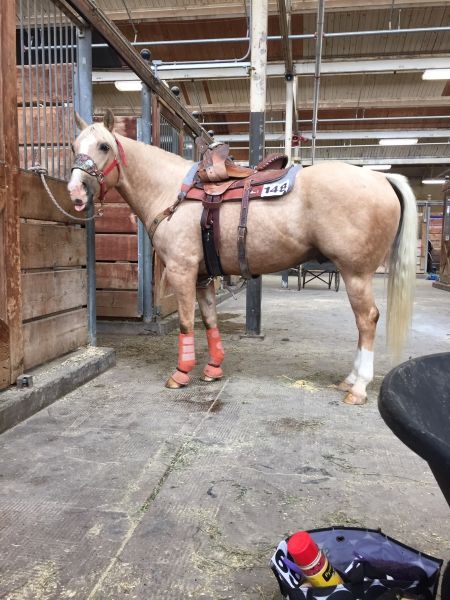 a brown horse standing inside of a stable next to a black chair and other items