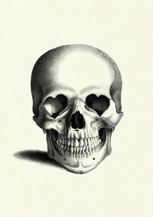 a black and white drawing of a human skull