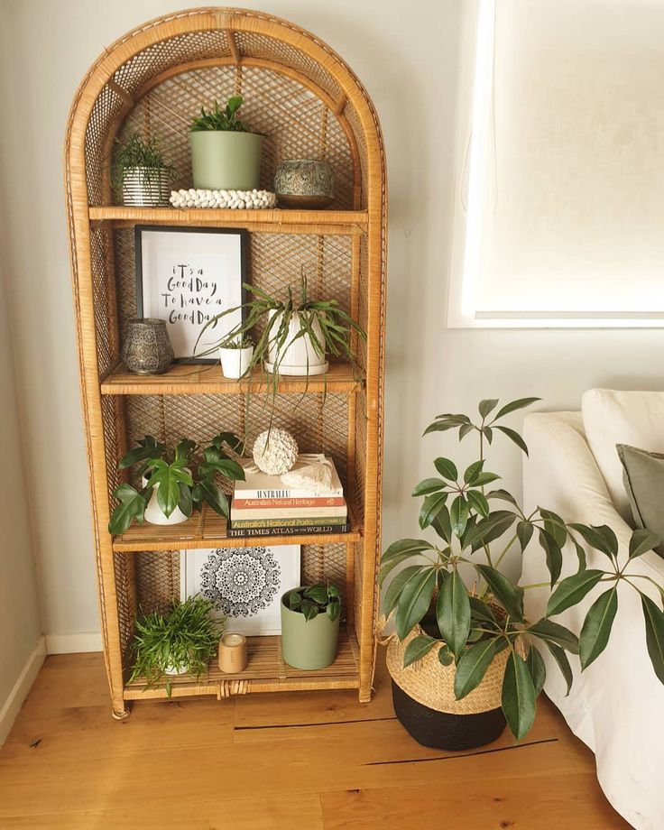 a shelf with plants and books on it in a living room next to a couch