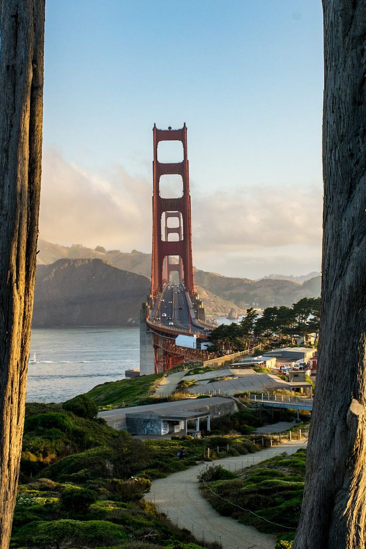 the golden gate bridge in san francisco, california is seen through some tree's