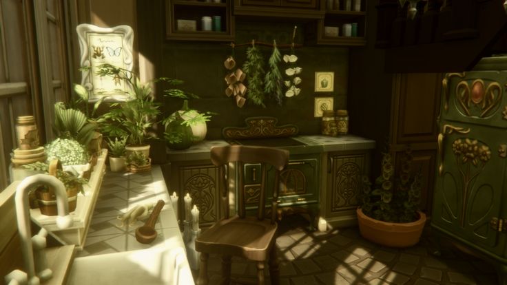 a kitchen filled with lots of potted plants