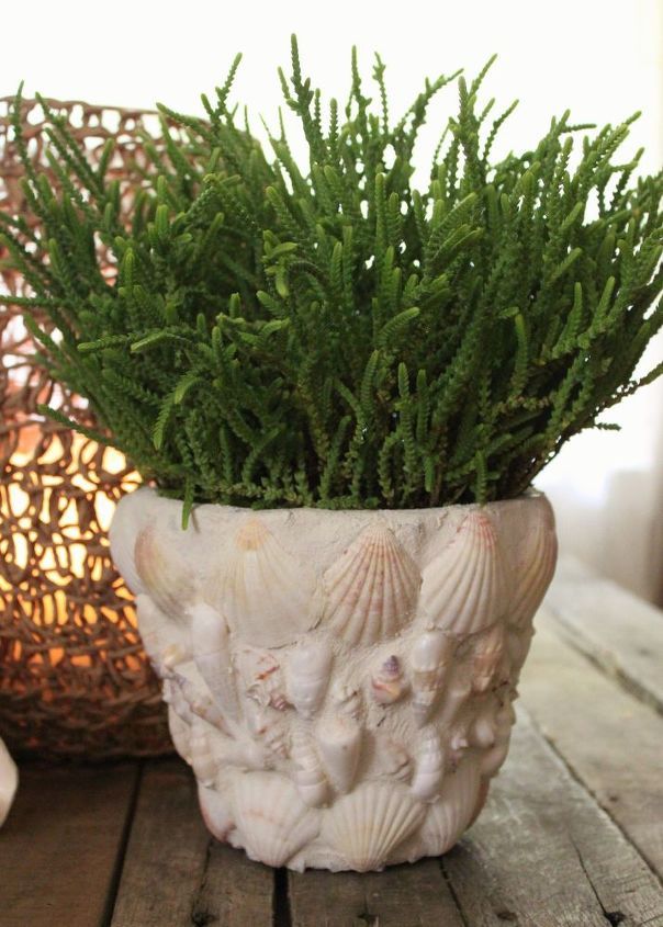 a potted plant sitting on top of a wooden table