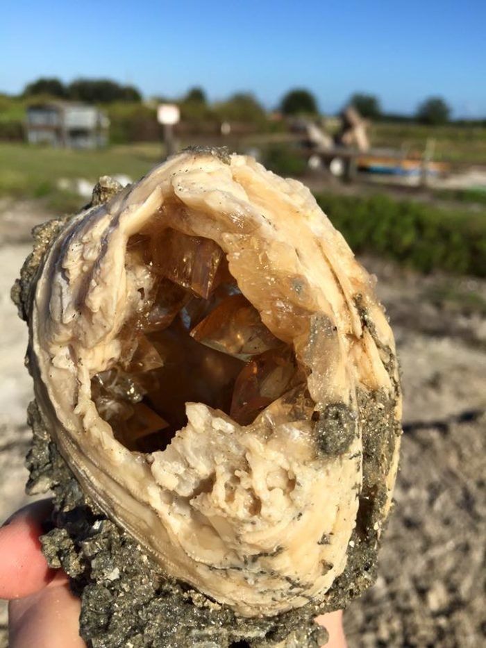 someone holding up a piece of rock that looks like it has some kind of substance in it