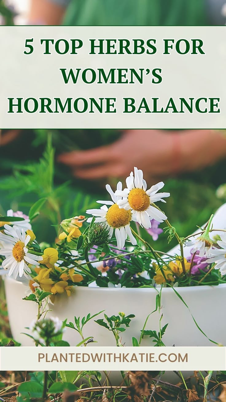 5 Herbal Remedies For Hormonal Imbalance In Women can help you naturally manage symptoms like hot flashes, mood swings, and irregular menstrual cycles. Discover how these herbs can support your hormone balance and overall health. Herbs For Balancing Hormones, Natural Remedies For Hormonal Imbalance, How To Fix Hormonal Imbalance, Herbal Tea For Hormone Balance, Hormone Imbalance Symptoms Remedies, Womens Hormone Health, Hormone Balancing Herbs For Women, Signs Of Hormone Imbalance Woman, Herbs For Feminine Health