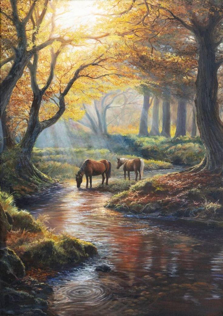 two horses are standing in the middle of a stream by some trees and grass, with sunlight streaming through the trees