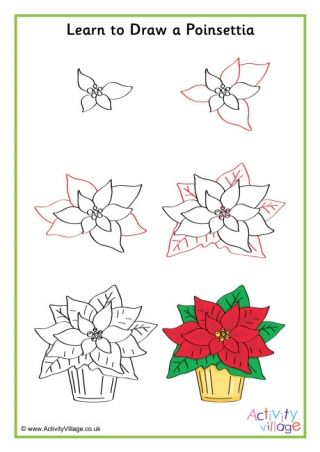 learn to draw a poinsettia flower