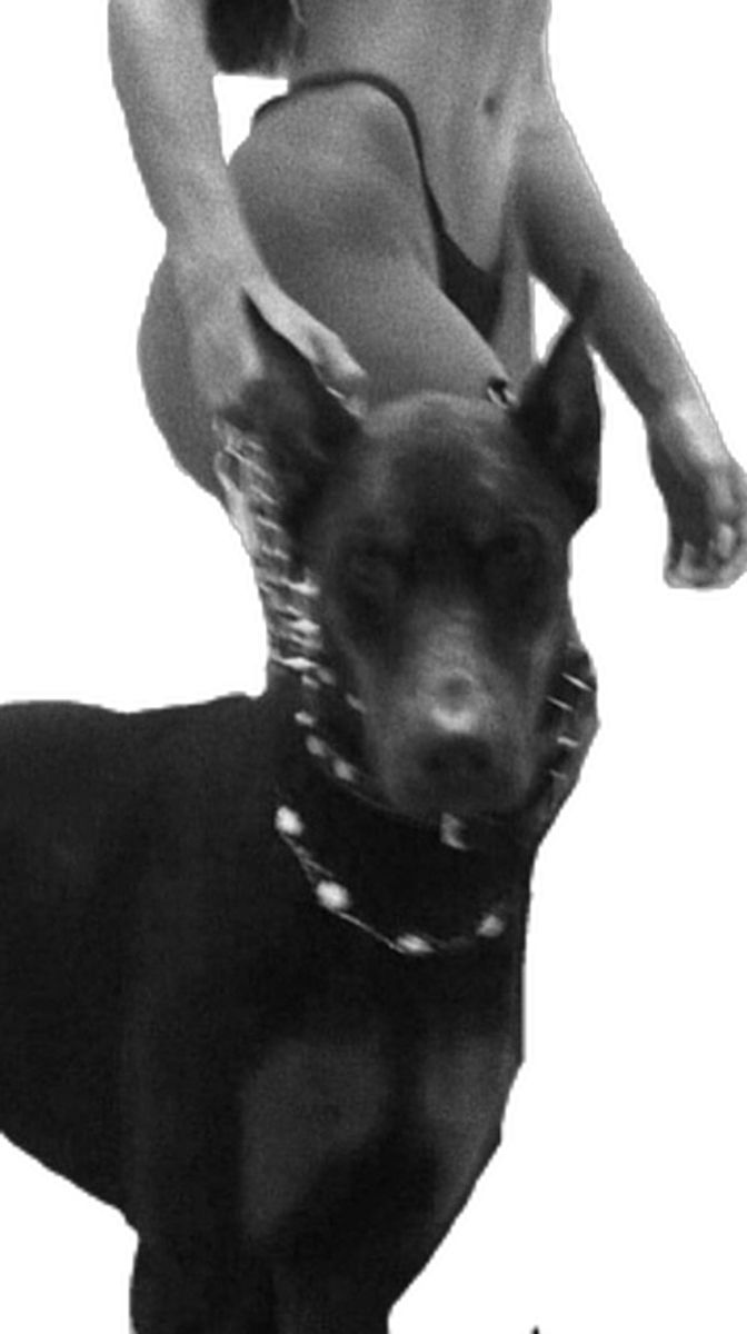 a woman is riding on the back of a dog with a harness around her neck