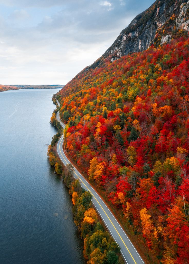 an aerial view of a winding road in the middle of a lake surrounded by trees