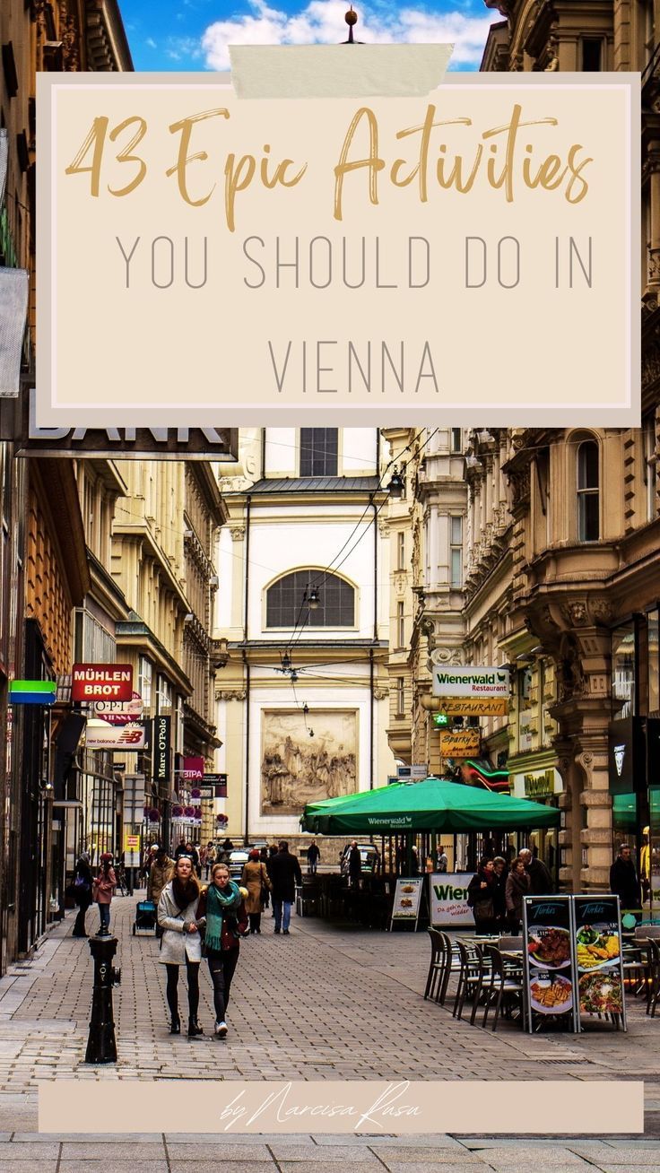 Looking for cultural things to do, fun activities, shopping, or maybe iconic historical landmarks in Vienna? Then you are in the right place! Here are 43 Best & Unmissable Things To Do In Vienna. There are plenty of classic things to do in Vienna whether you want to visit the royal houses, the old churches or admire the historic art. There are few cities in the world that can boast the musical legacy that Vienna can. 43 Things To Do In Vienna | Vienna Trip Vienna Places To Visit, Vienna Shopping, Vienna Trip, Vienna Travel Guide, Vienna Austria Travel, Classic Things, Things To Do In Vienna, Royal Houses, Danube River Cruise