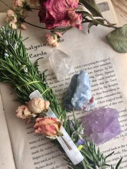 flowers and herbs are laying on top of an open book with some sort of paper