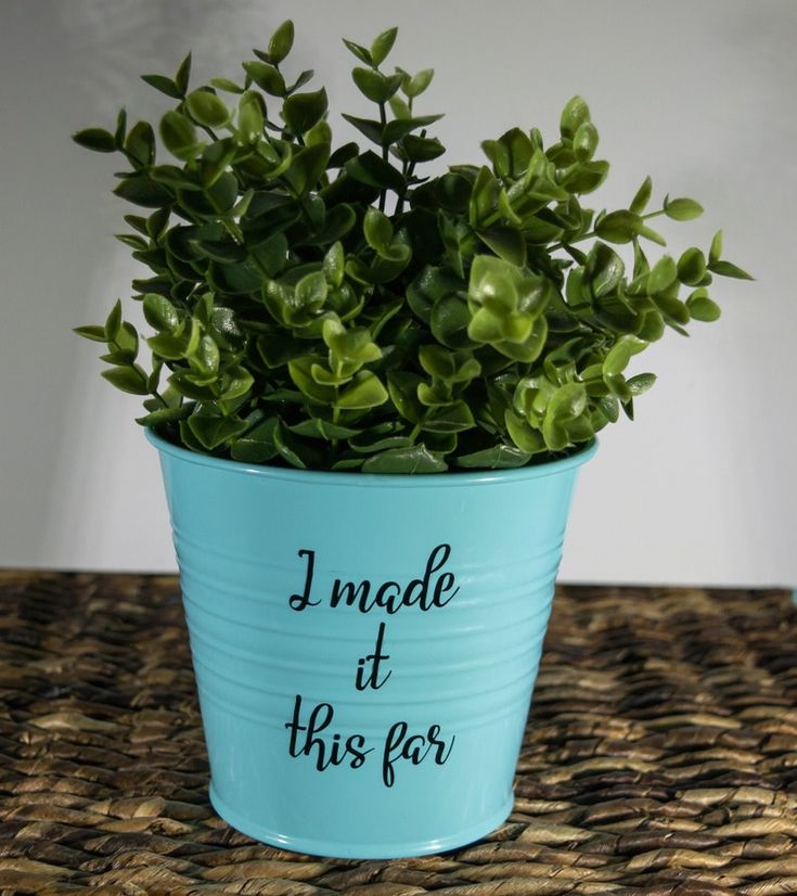 a potted plant with the words i made it this far in black ink on blue paint