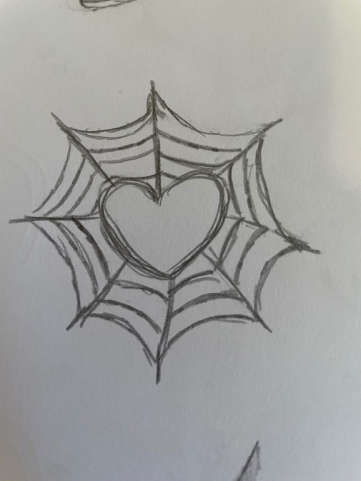 a drawing of a spider web with a heart on it