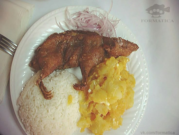 a white plate topped with rice and meat on top of a table next to a fork