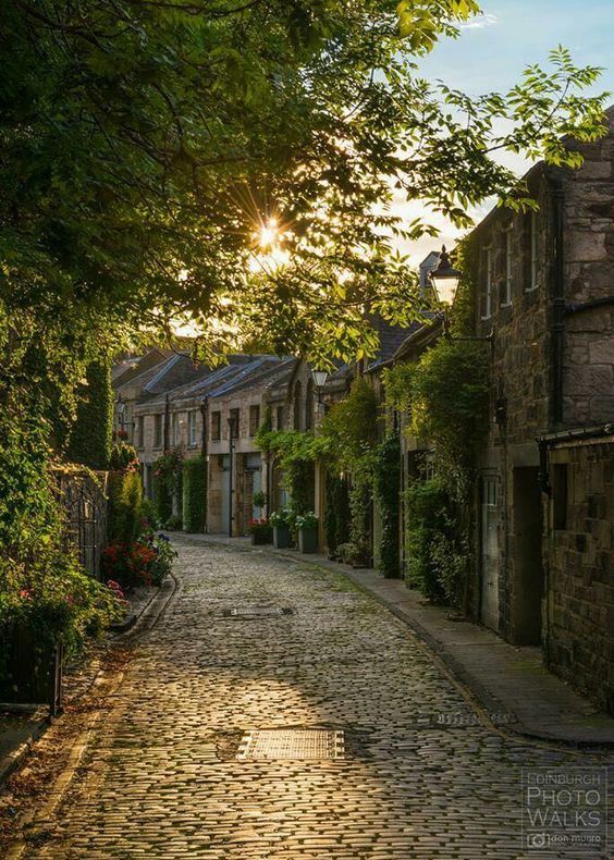 an old cobblestone street with trees and flowers in the foreground is featured on instagram