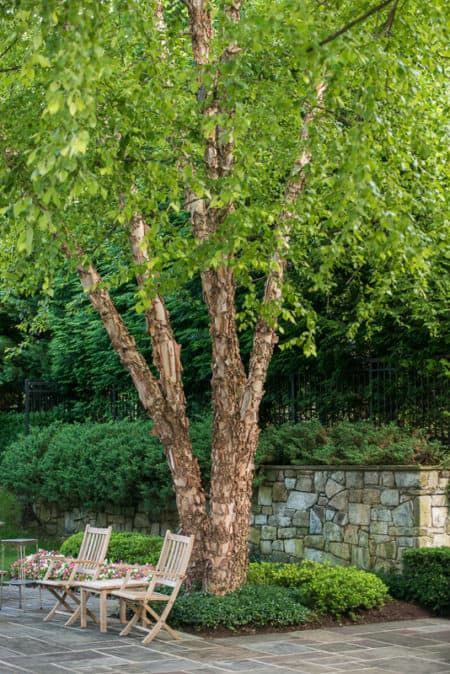 an outdoor patio with wooden chairs and table next to a large tree in the middle