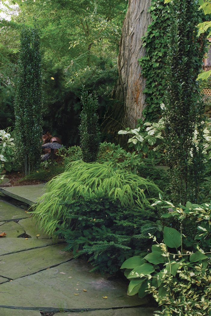 a stone path surrounded by trees and plants