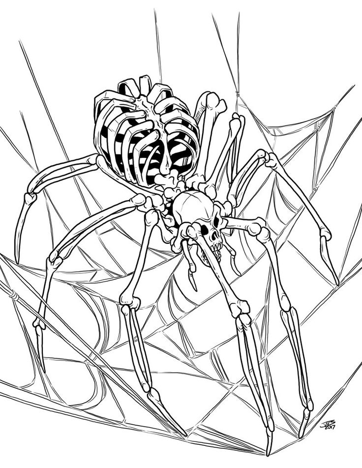 a black and white drawing of a spider in its web - net frame with the legs crossed