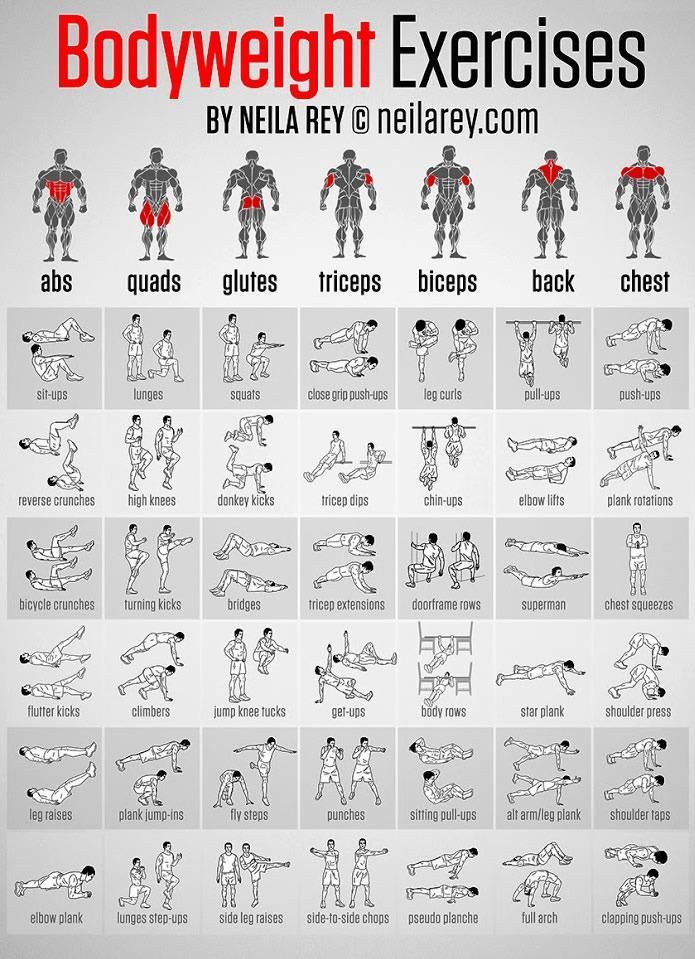 the bodyweight exercises poster is shown