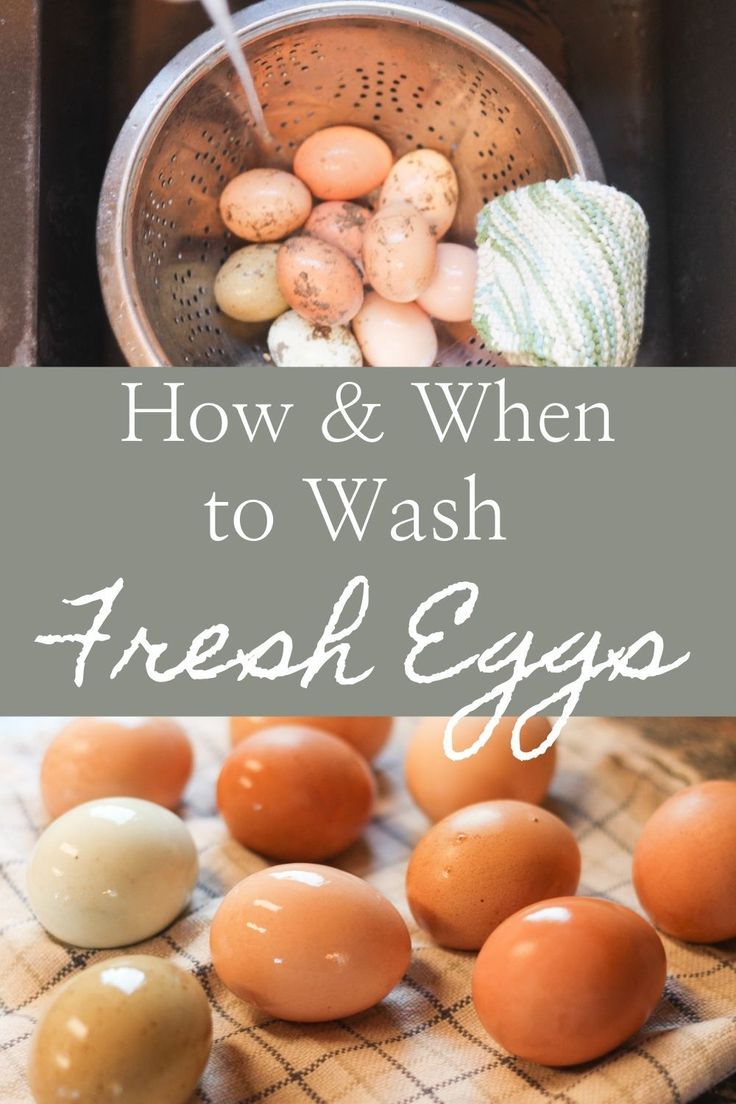 how and when to wash fresh eggs